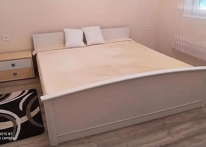 Bajnoczi Vendeghaz *